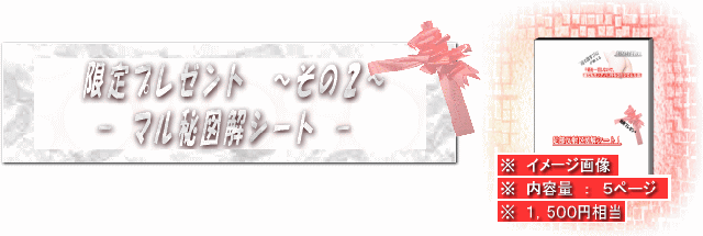 限定プレゼント　～その２～　マル秘図解シート　※　（内容量　：　５ページ）　￥１，５００円相当　（冊子のダウンロード時に一緒にダウンロードできます。）