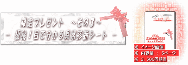 限定プレゼント　～その３～　極秘！目で分かる異常診断シート　※　（内容量　：　５ページ）　￥３，５００円相当　（冊子のダウンロード時に一緒にダウンロードできます。）