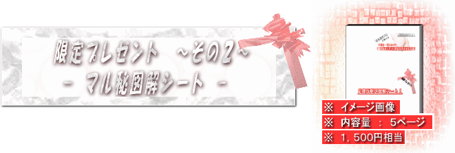 限定プレゼント　〜その２〜　マル秘図解シート　※　（内容量　：　５ページ）　￥１，５００円相当　（冊子のダウンロード時に一緒にダウンロードできます。）